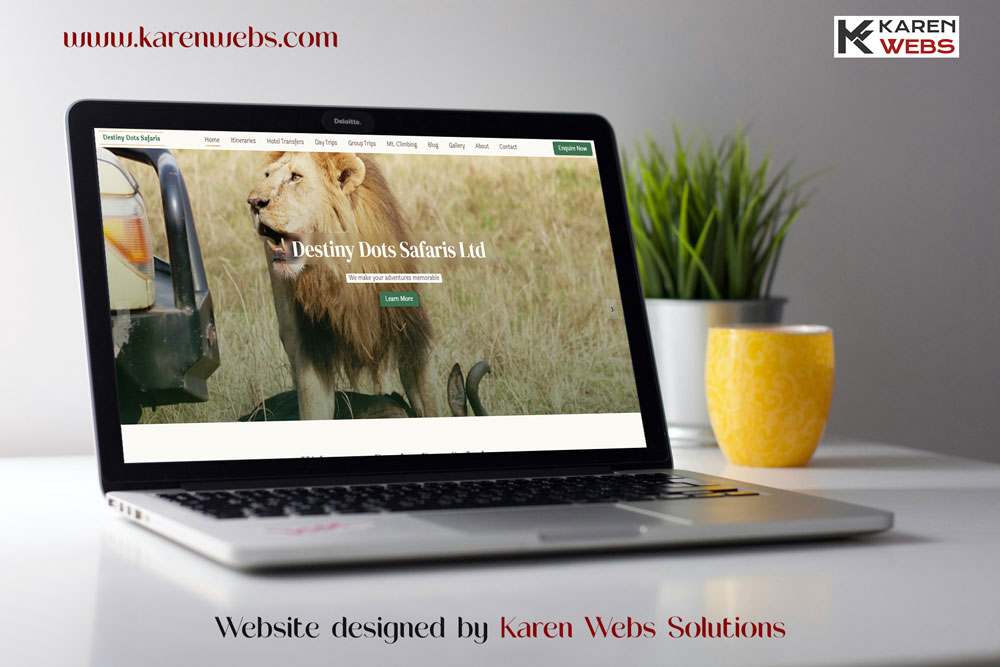 Destiny Dots Safaris Website